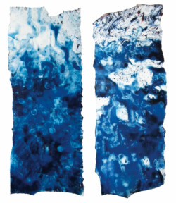 Oil and enamel on paper, environmental dimension, year 2012